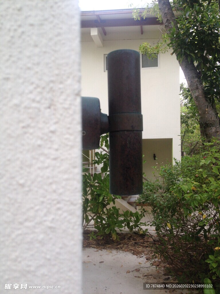 庭院一角的绿植与建筑