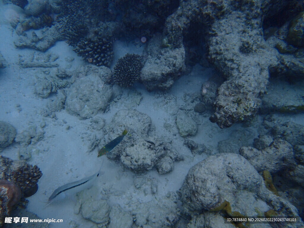 海底礁石景观