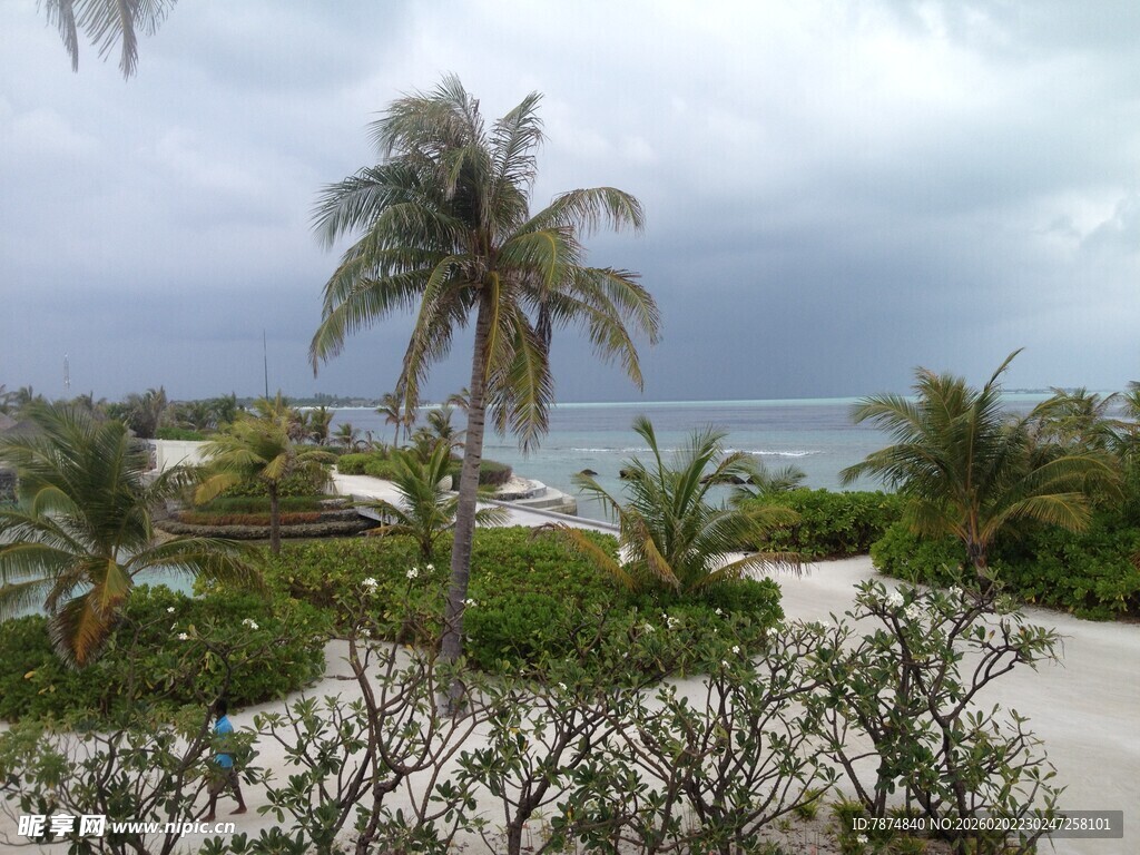 热带海滨风光美景