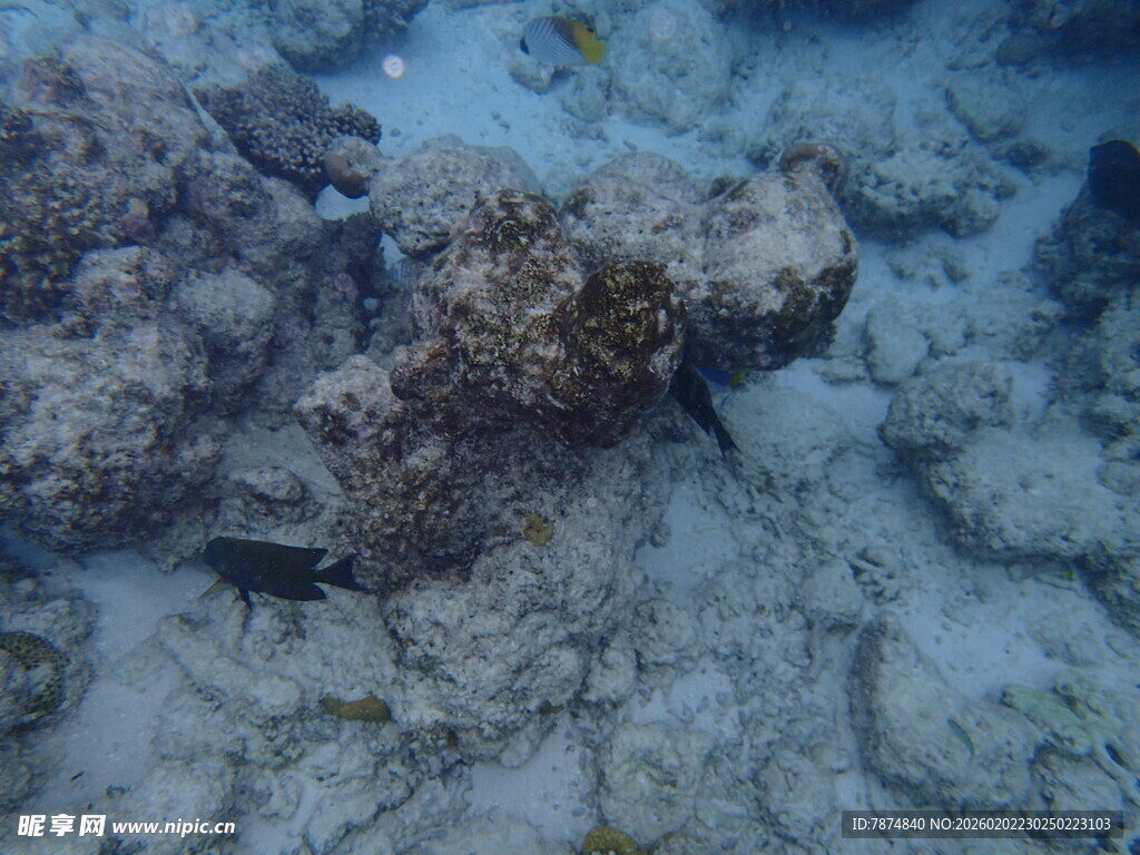 海底礁石景观