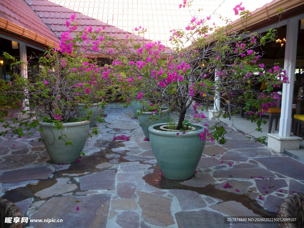 浪漫花卉环绕的庭院小径