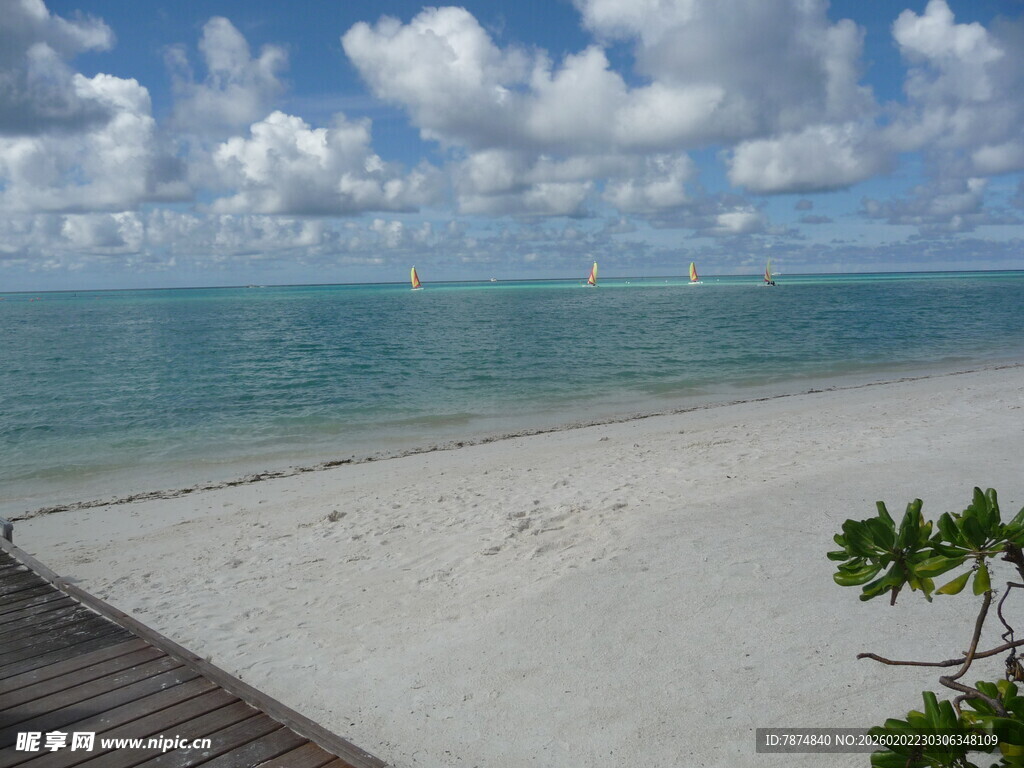 美丽海滨沙滩风光