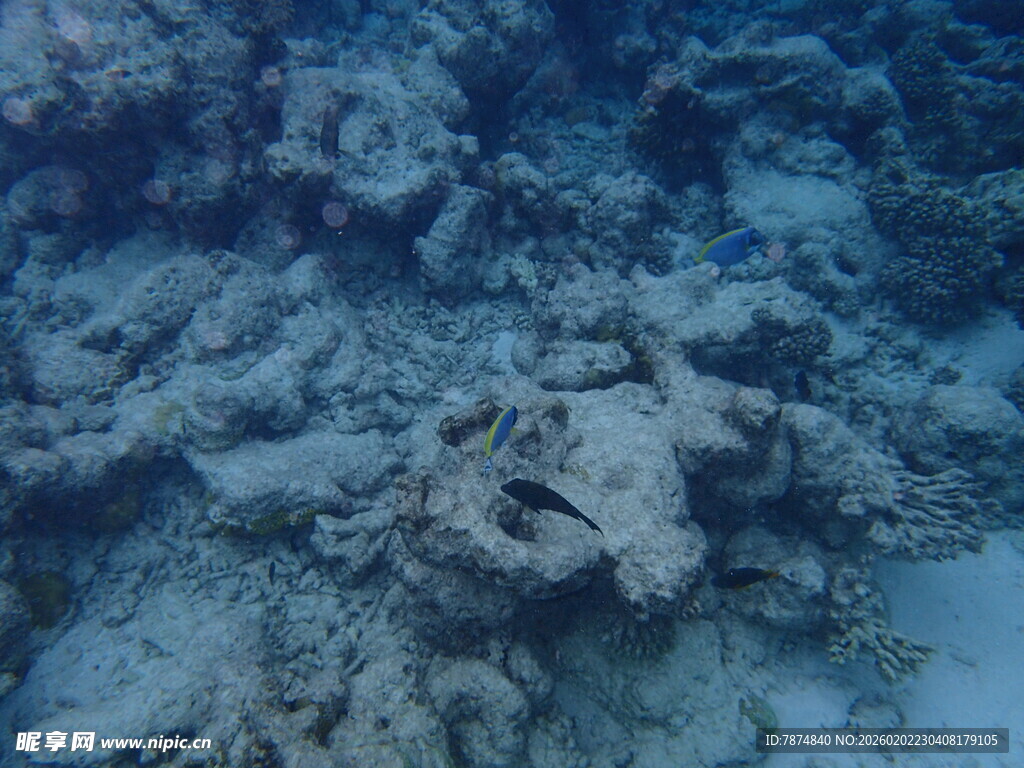 海底礁石景象