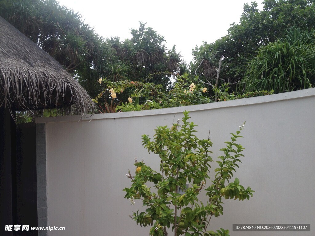 庭院绿植与茅草屋顶景观
