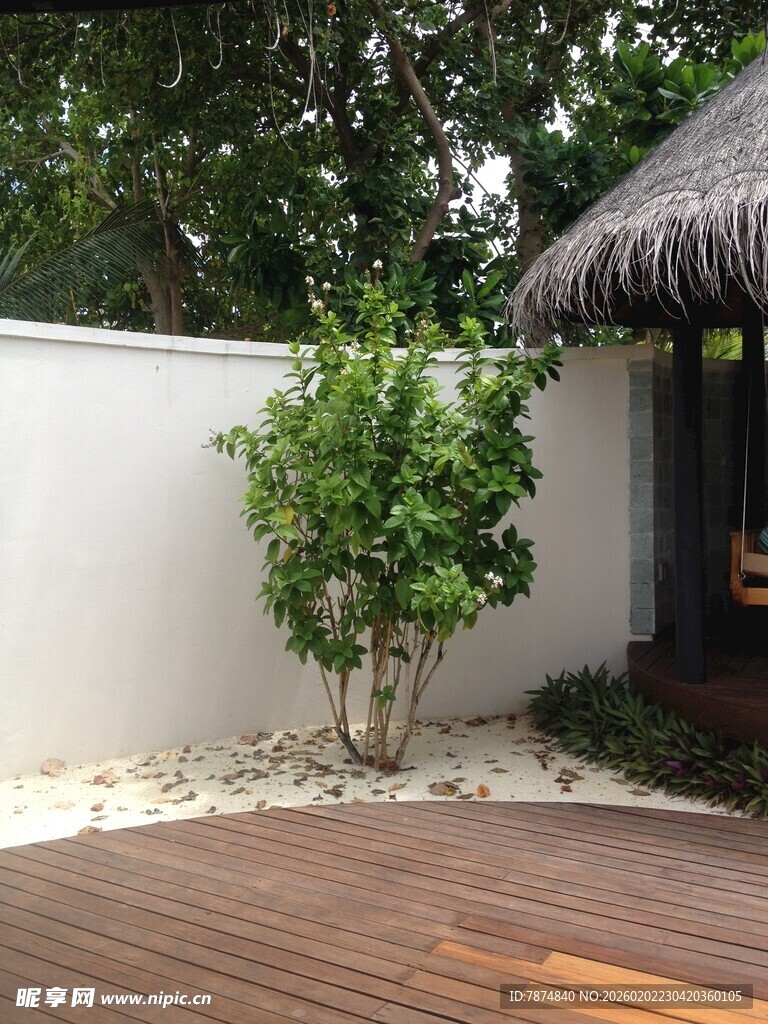 庭院木质露台绿植景观