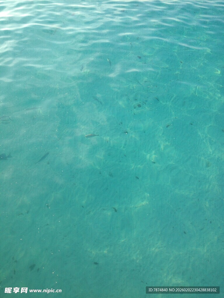 清澈碧绿的海面