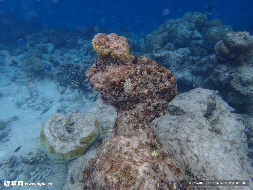 海底独特礁石景观
