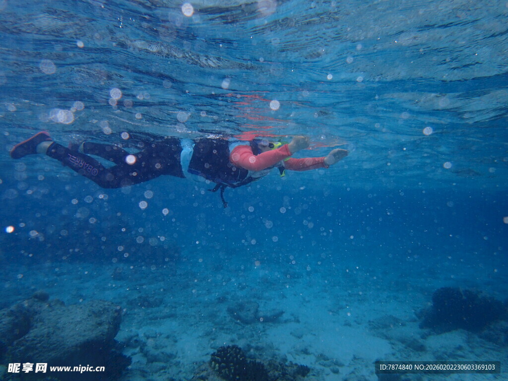马尔代夫水下潜水者畅游美丽海底