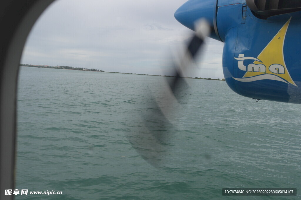 马尔代夫船边跃起的鱼