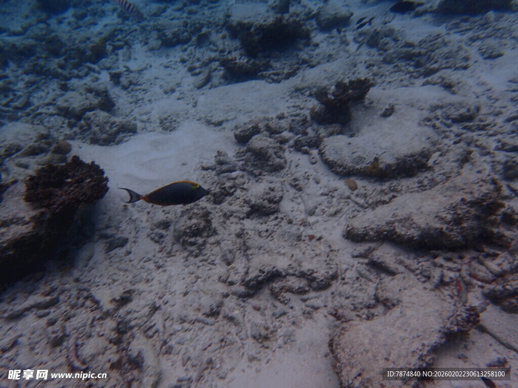 海底沙石景观