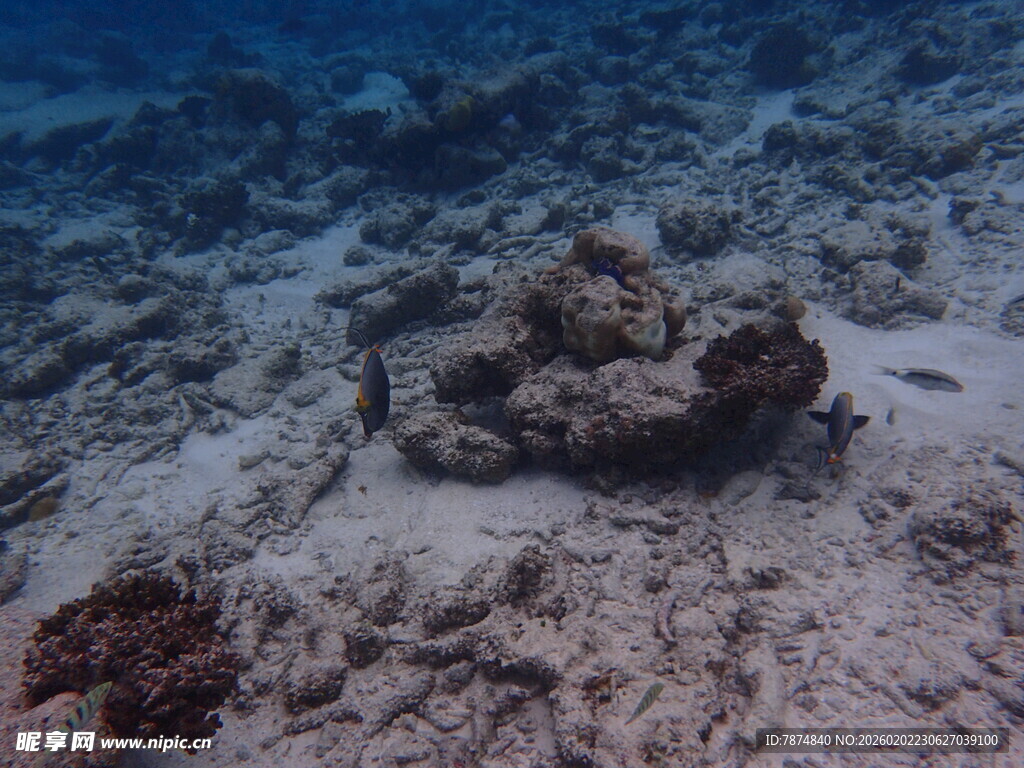 海底的神秘古老残骸