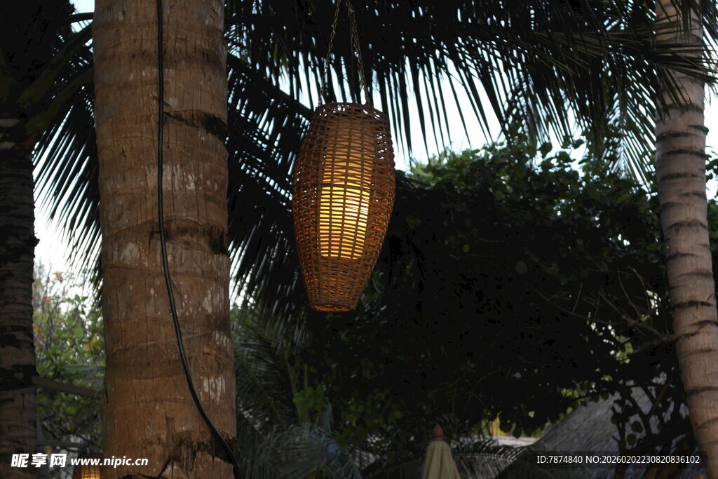 棕榈树间的别致竹制灯笼