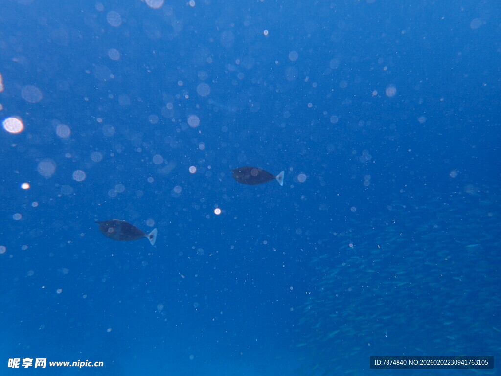 深海中的气泡与神秘物体