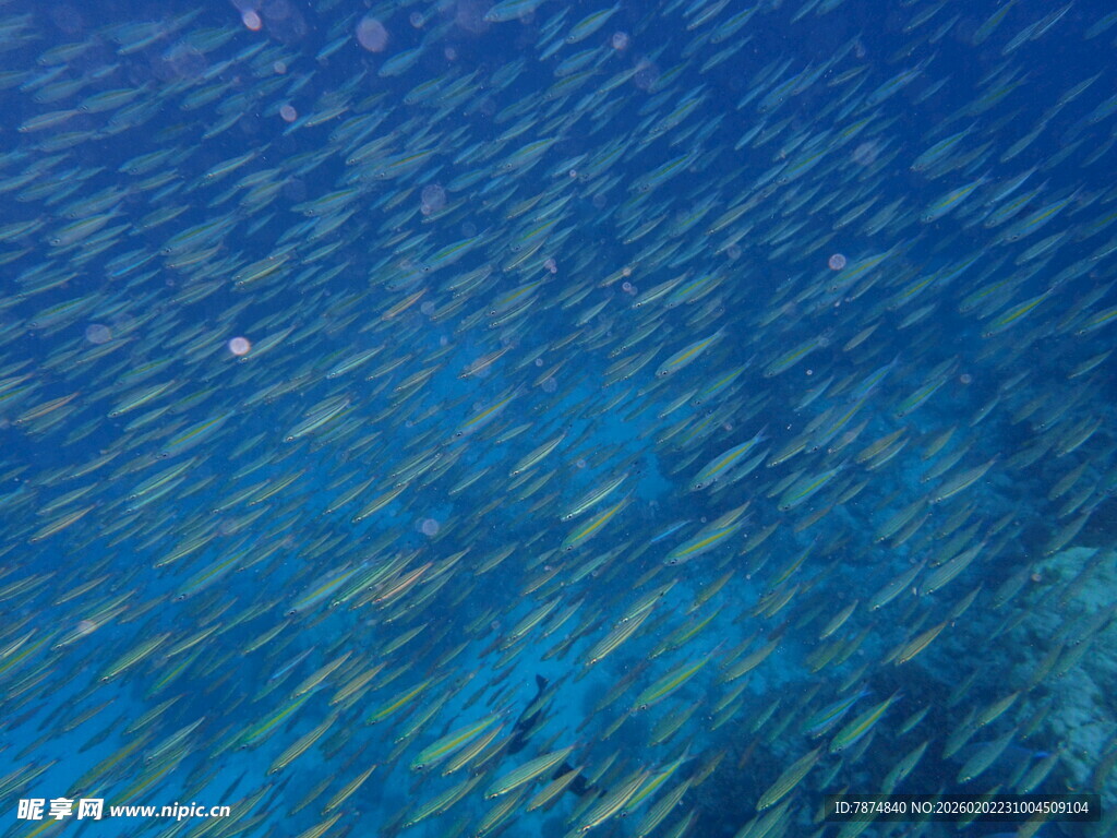 蓝色海洋波光粼粼画面