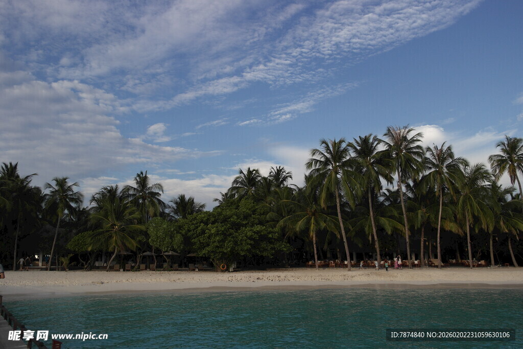 热带海滨风光 椰林碧海