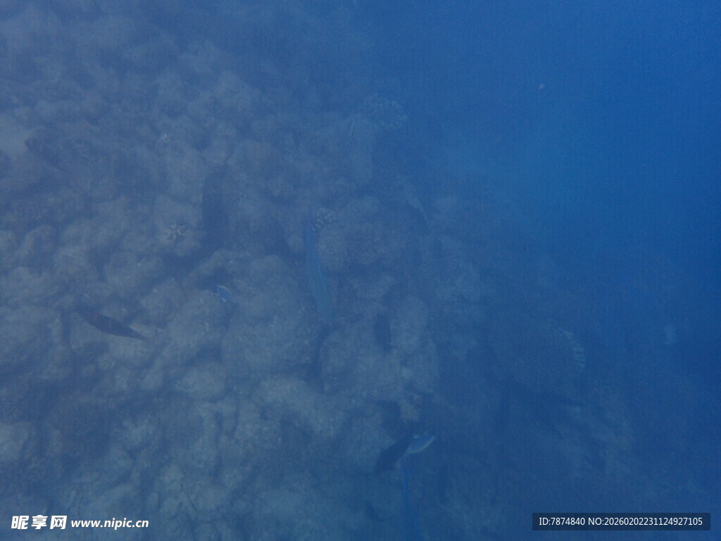 马尔代夫深海海底景象