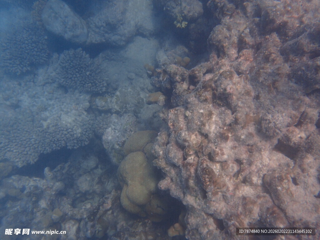 马尔代夫海底礁石景观