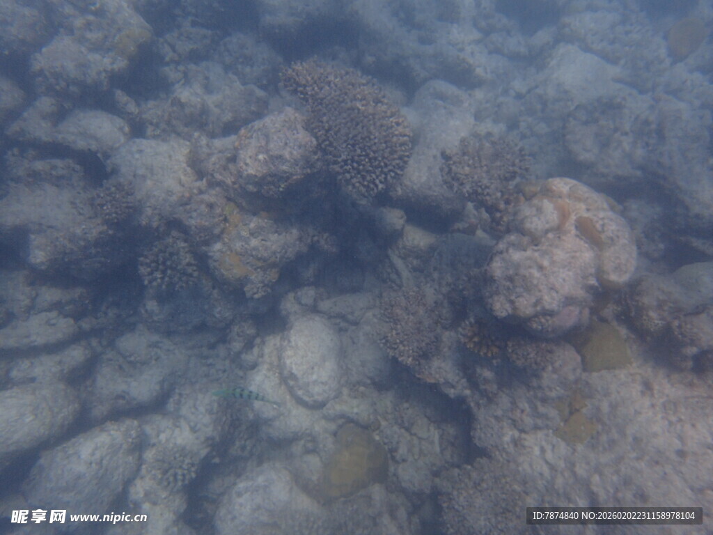 马尔代夫海底岩石景象