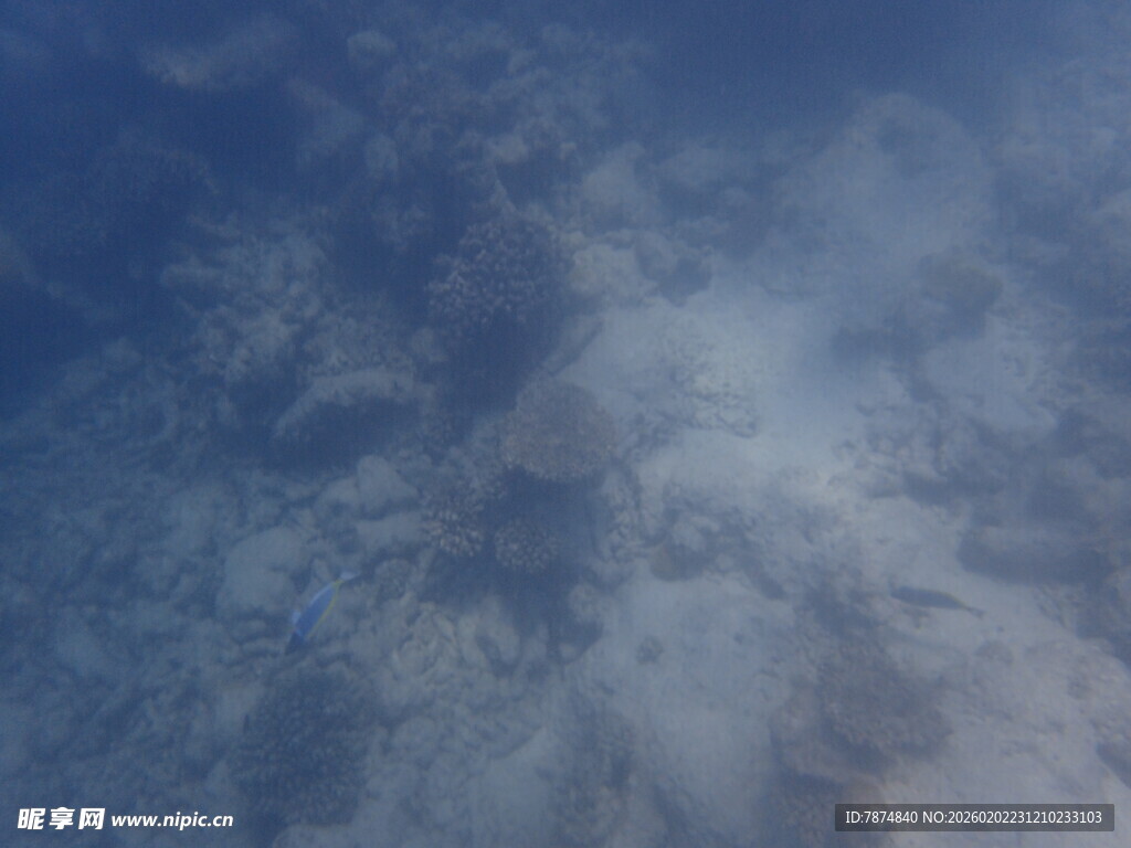 马尔代夫水下蓝色朦胧景象