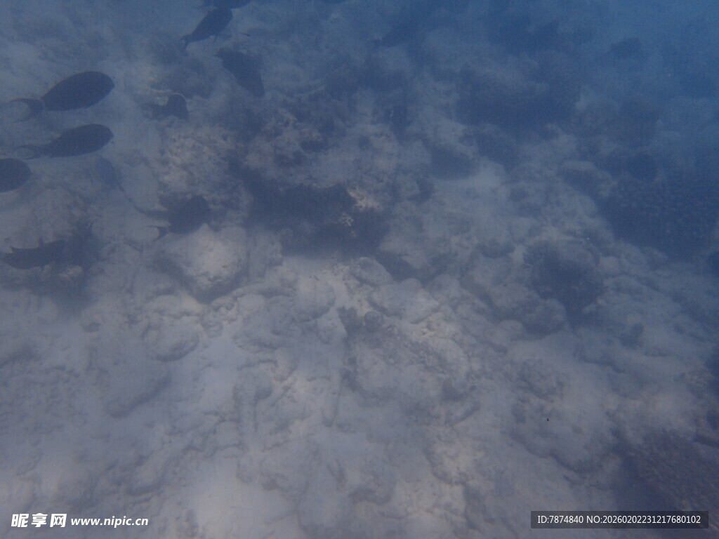 马尔代夫清澈水底的沙石景象