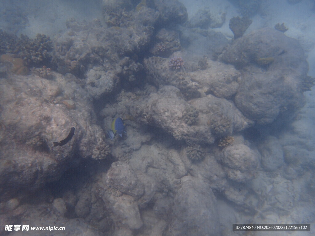 马尔代夫滚滚浓烟弥漫天际