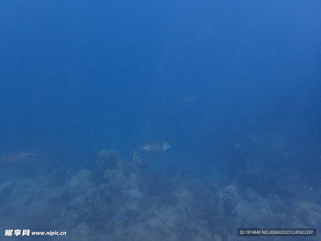 马尔代夫海底世界浅蓝色海水景象