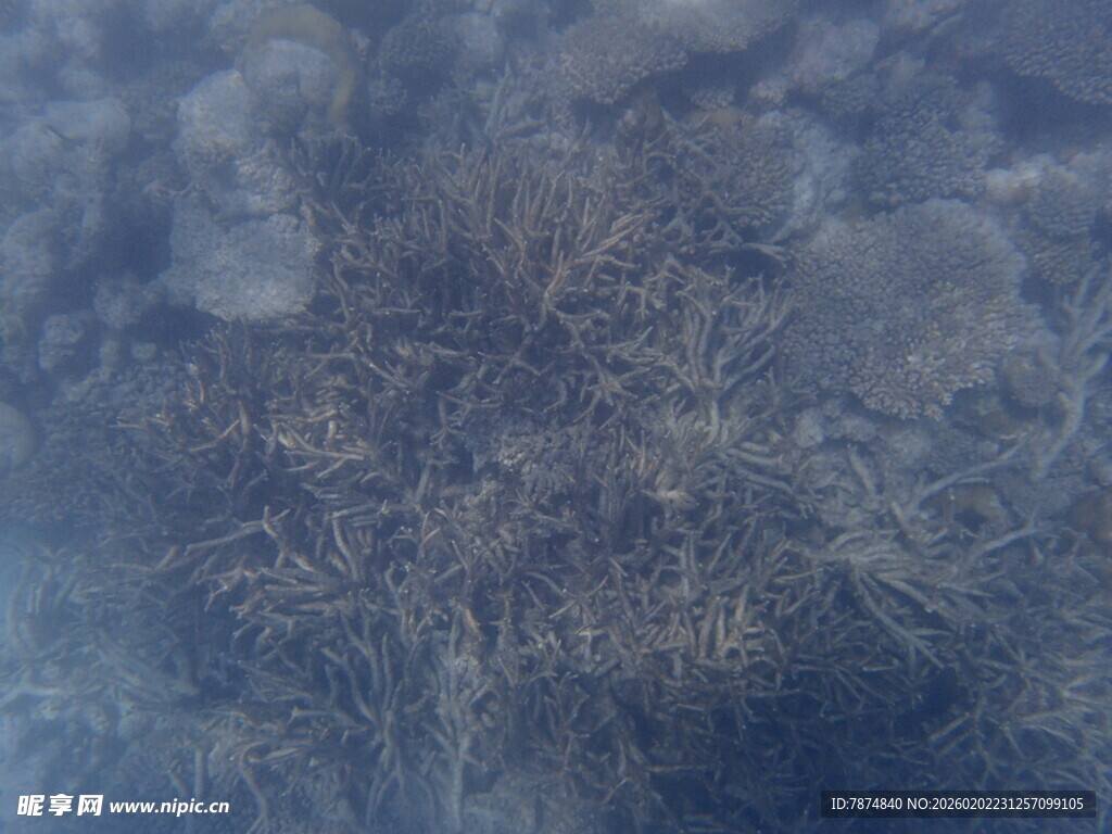 马尔代夫冰面下的奇妙冰晶世界