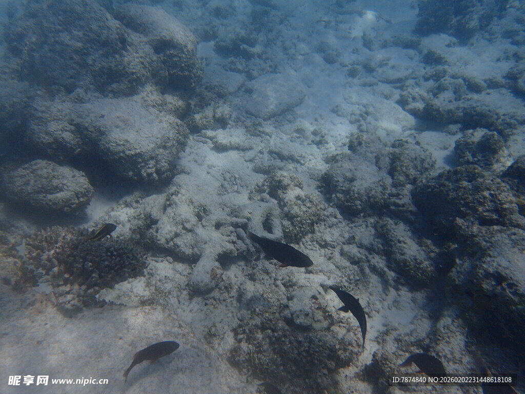 海底景象 岩石与模糊光影