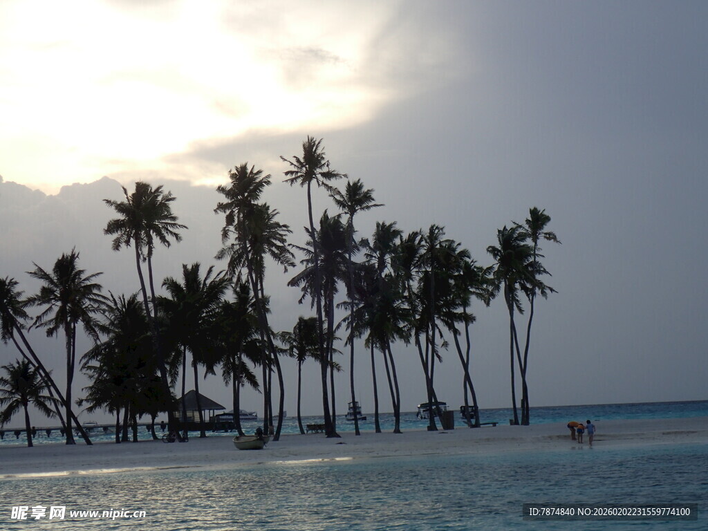 海边椰林美景