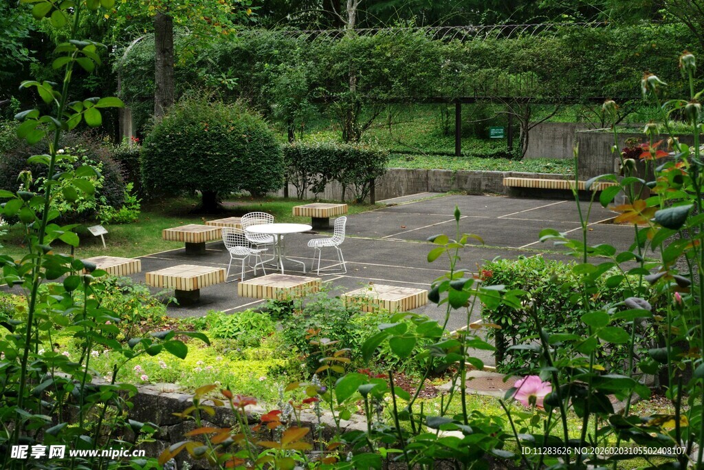 静谧花园景观