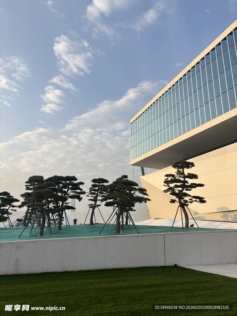 现代建筑旁的绿树景观