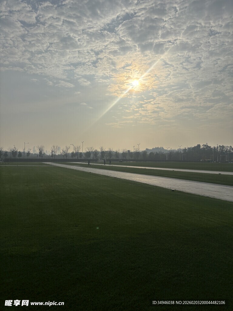 田野晨光下的宁静风景