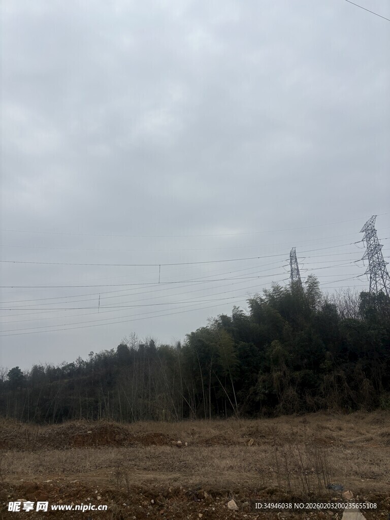 郊外开阔田野与树木景观