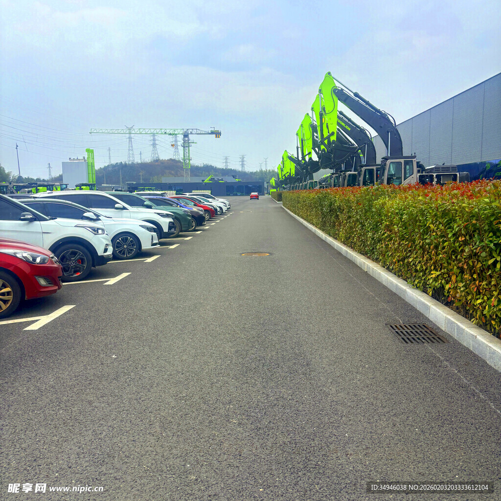 停车场中的多彩车辆