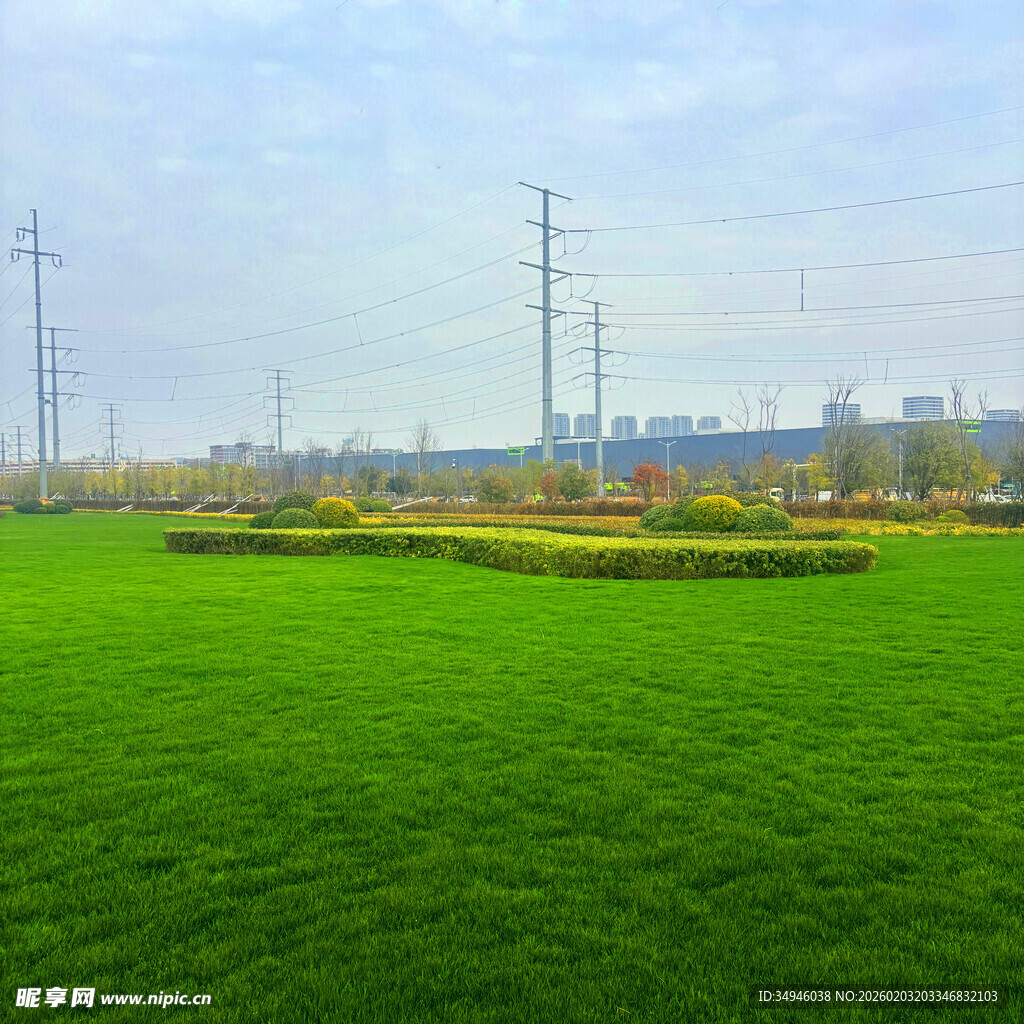 城市边的翠绿草坪景观