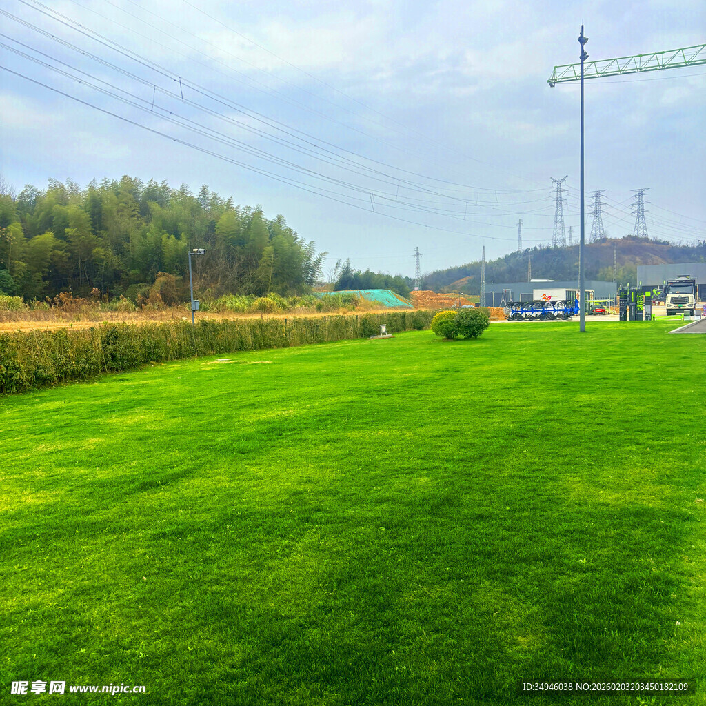 翠绿草坪与远处景致