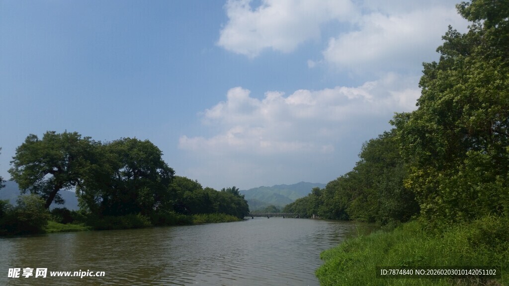 河畔绿树环绕的宁静风景