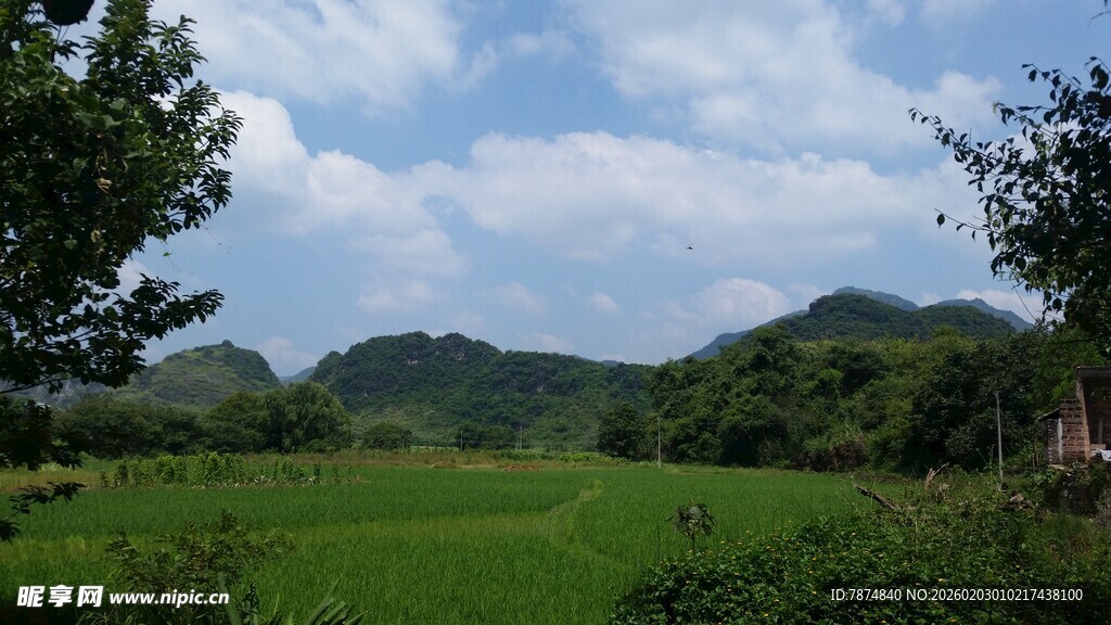 田园绿野风光