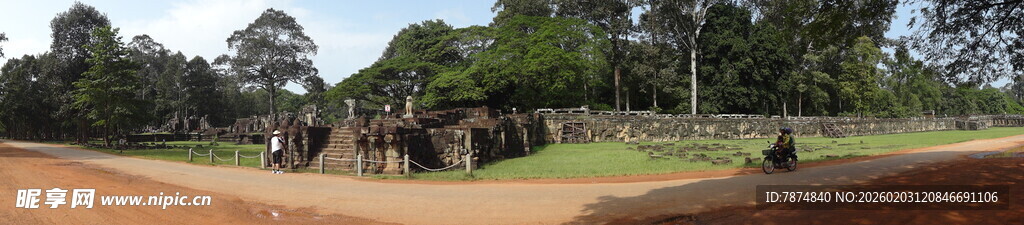 草原上的野生动物群