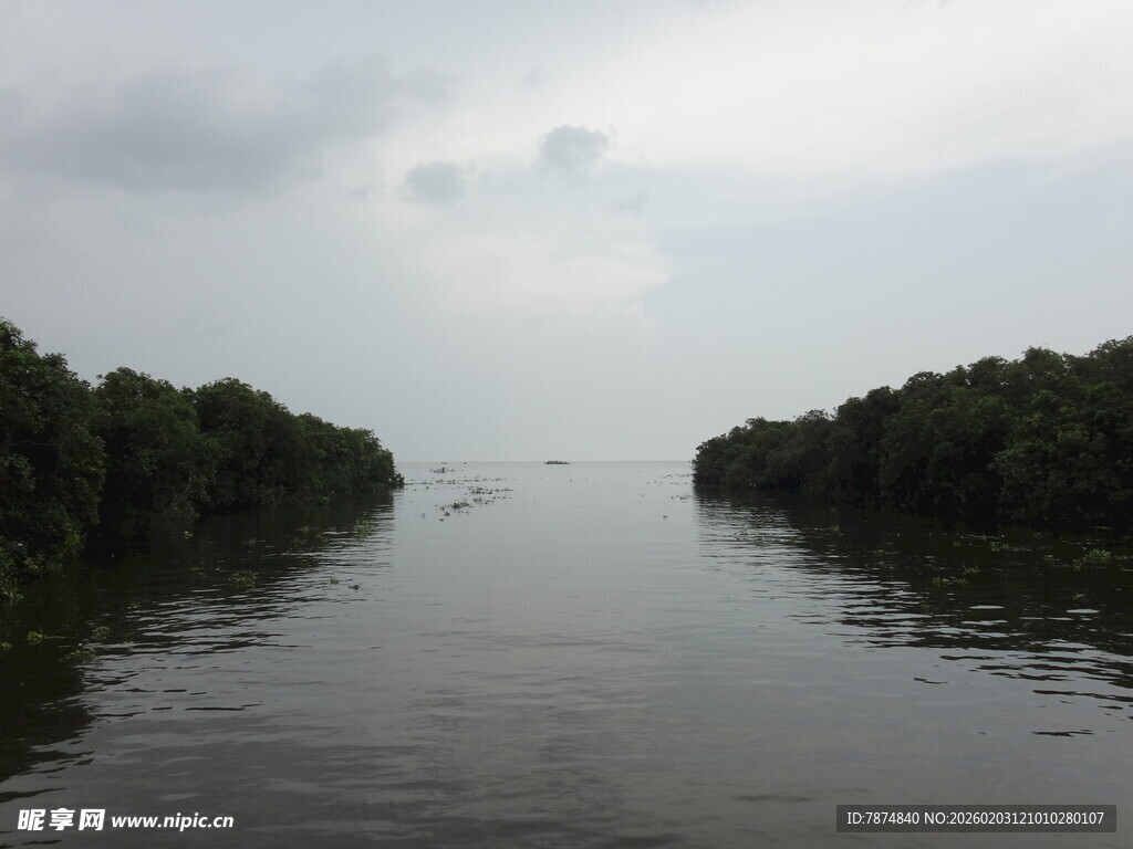 宁静河道两岸茂密树林