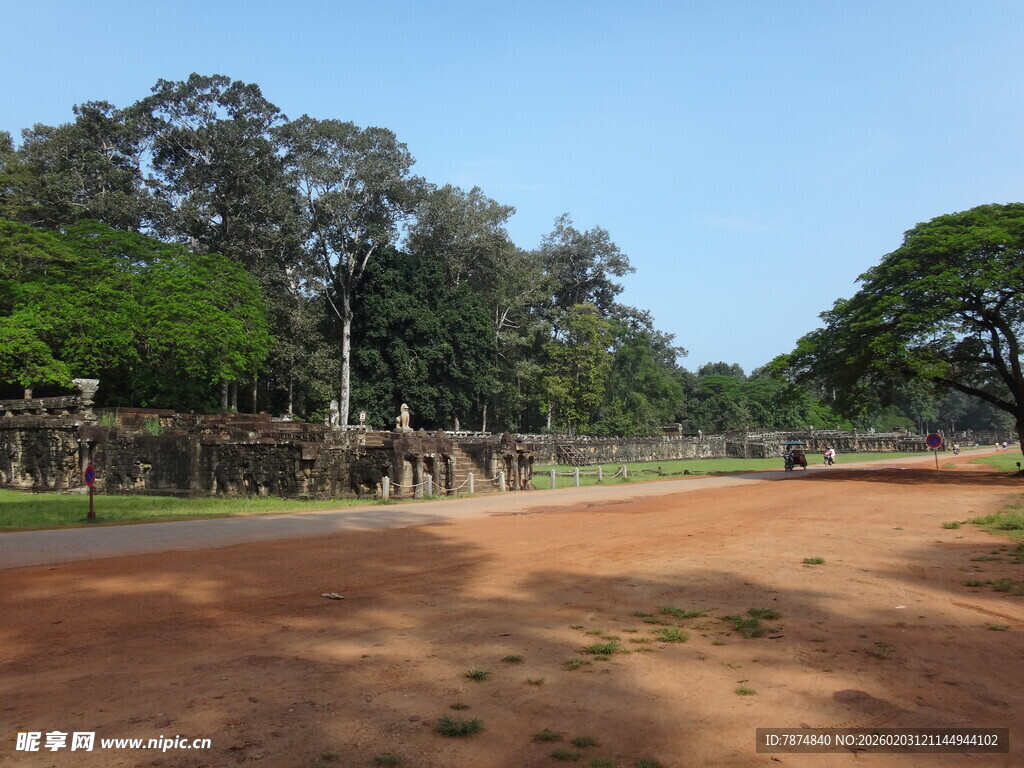 古老道路旁的葱郁树木