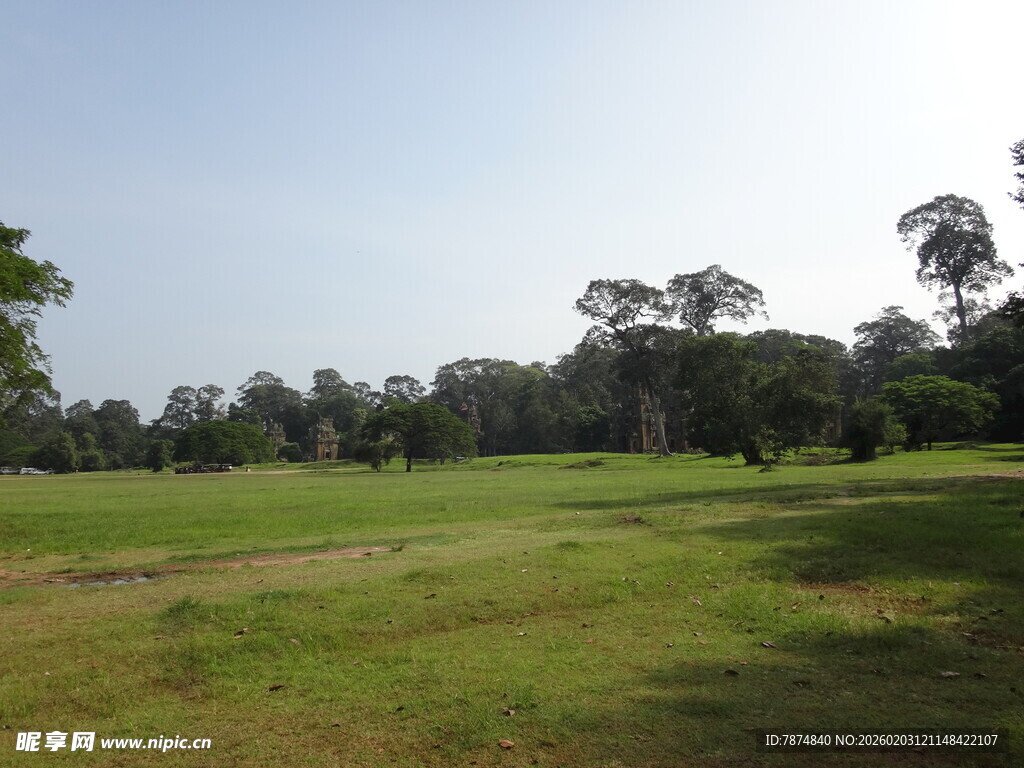 开阔草地与远处树林景观
