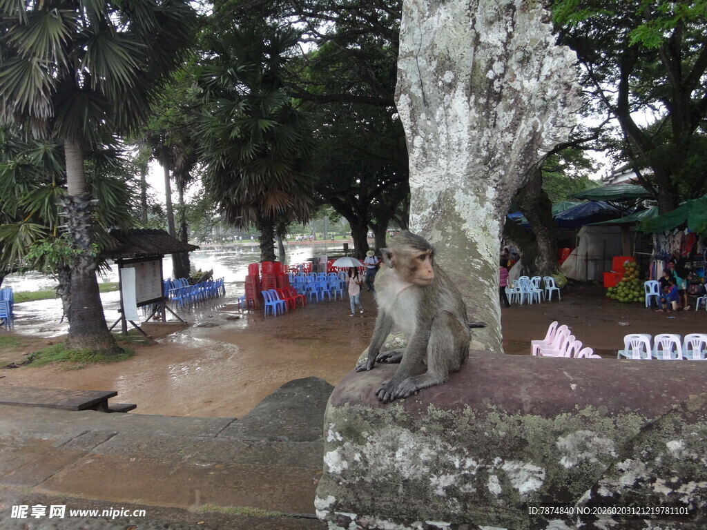 越南公园树下休闲场景