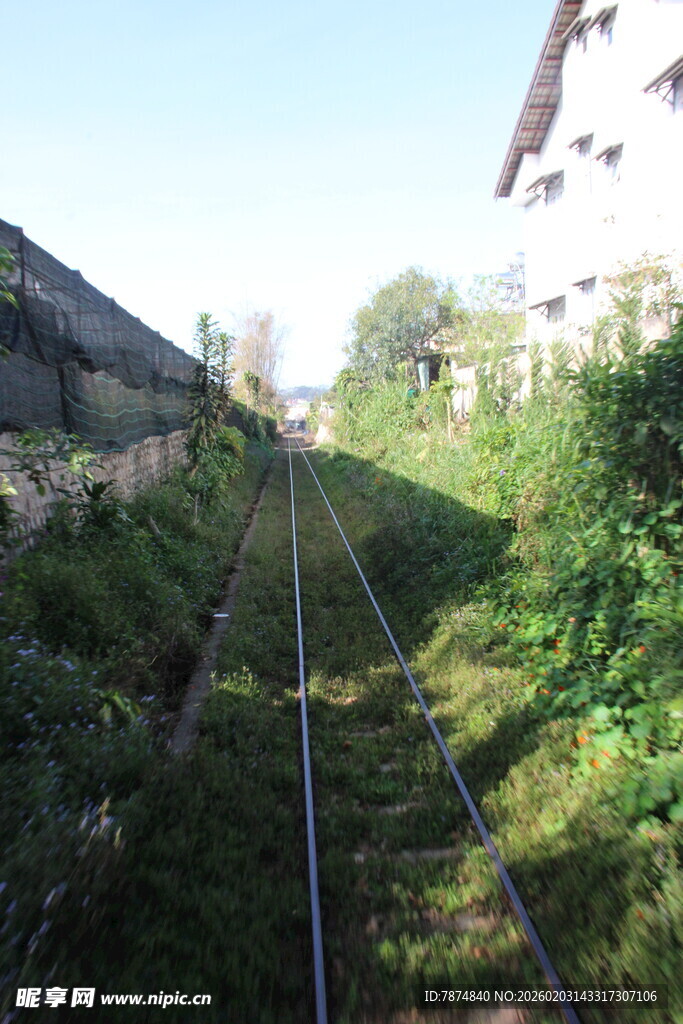 废弃铁轨旁的绿意风景