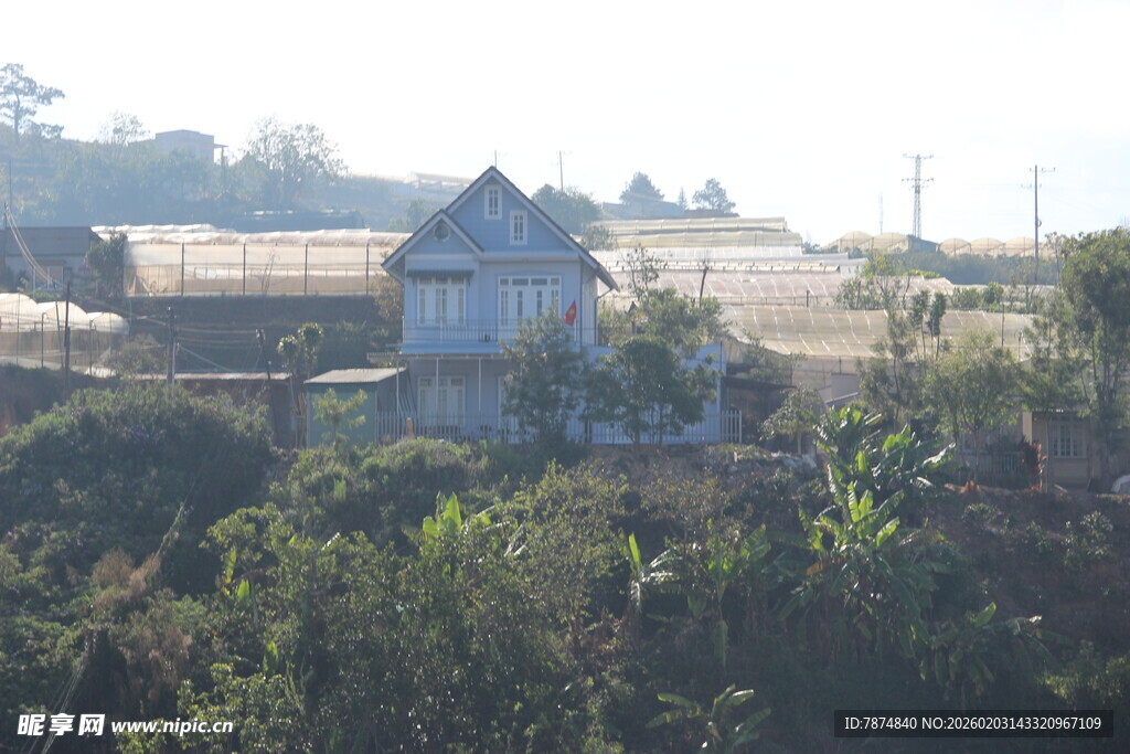 乡村景致中的房屋与绿植