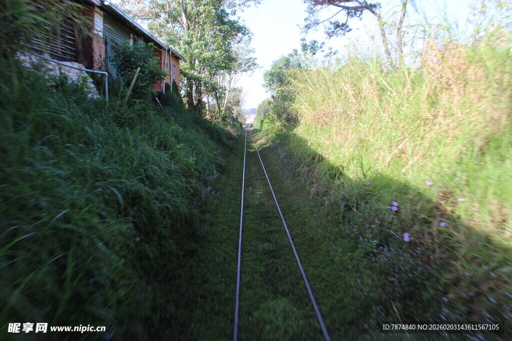 越南山间铁轨穿行于葱郁草木间
