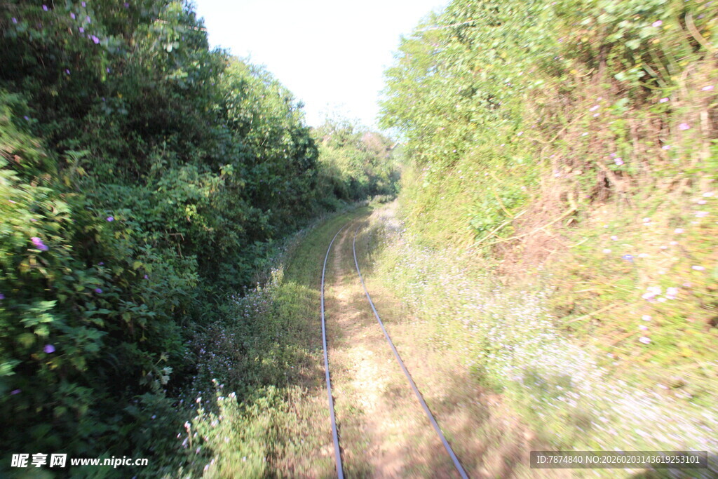 越南林间延伸的铁轨