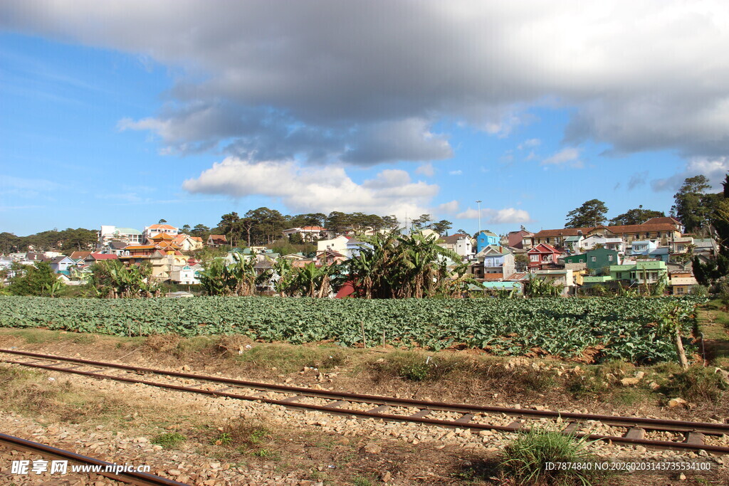 越南田园风光中的铁轨与绿植