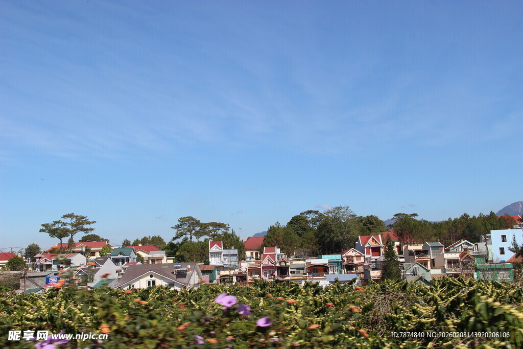 越南美丽村庄风光