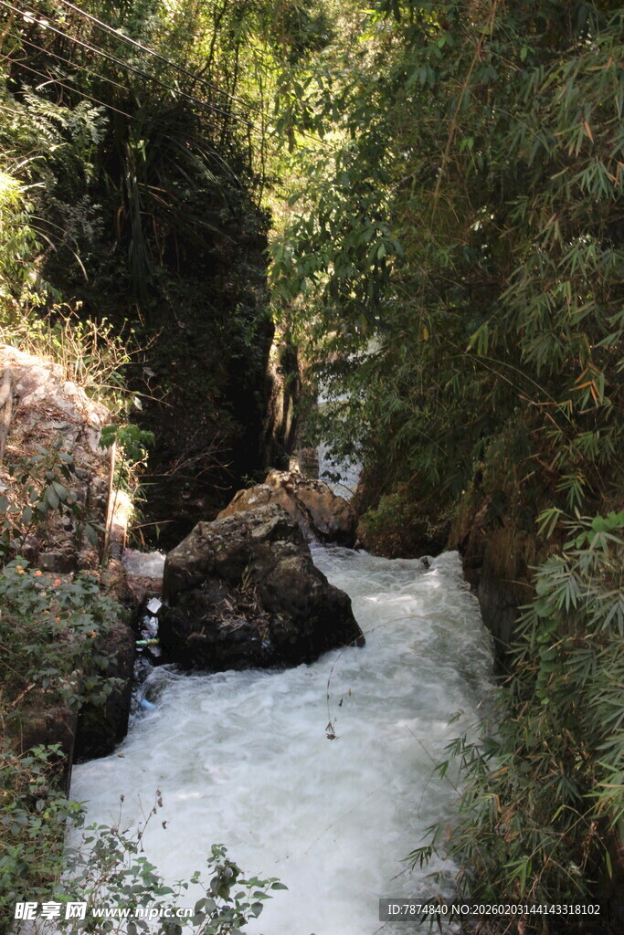 越南山间湍急溪流与繁茂植被